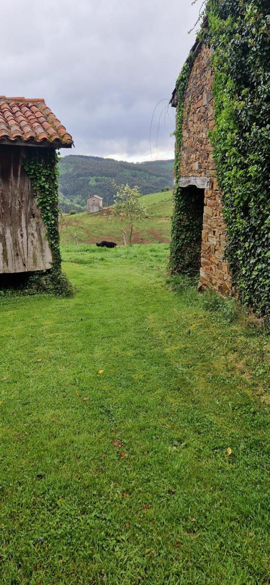 La Casona De Faedo Pension Hotell Exteriör bild