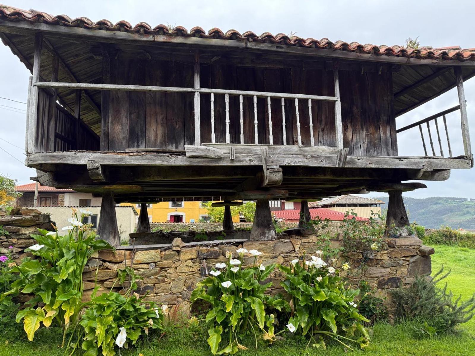 La Casona De Faedo Pension Hotell Exteriör bild