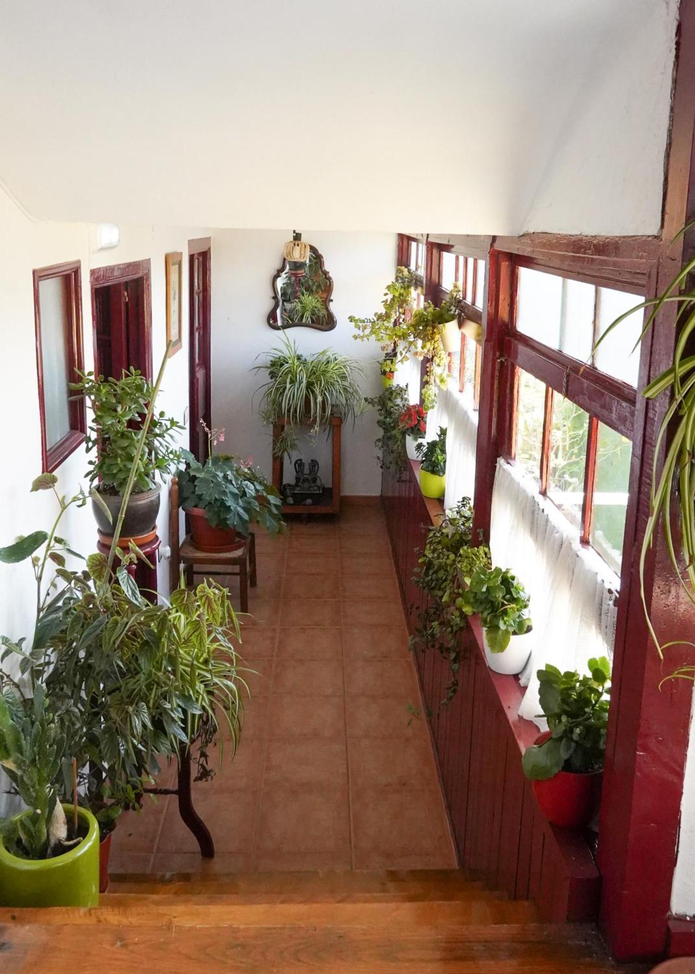 La Casona De Faedo Pension Hotell Exteriör bild